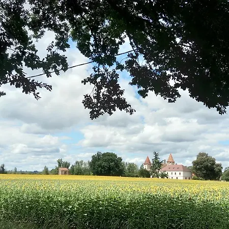 Bed & Breakfast Chateau De Lastours Espalais